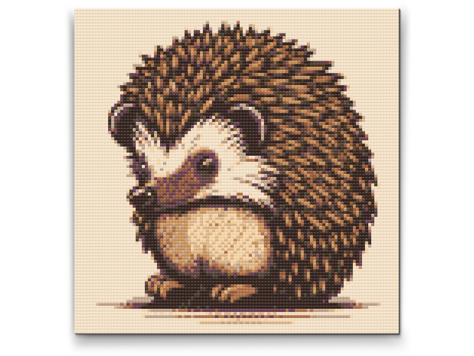 Diamantové malování - Cute hedgehog